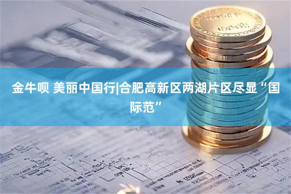 金牛呗 美丽中国行|合肥高新区两湖片区尽显“国际范”